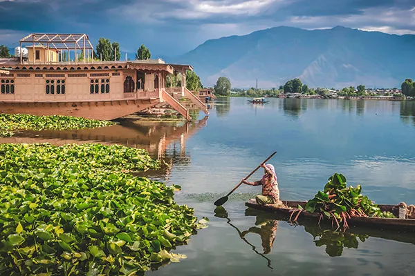 Kashmir Tour with Buddies