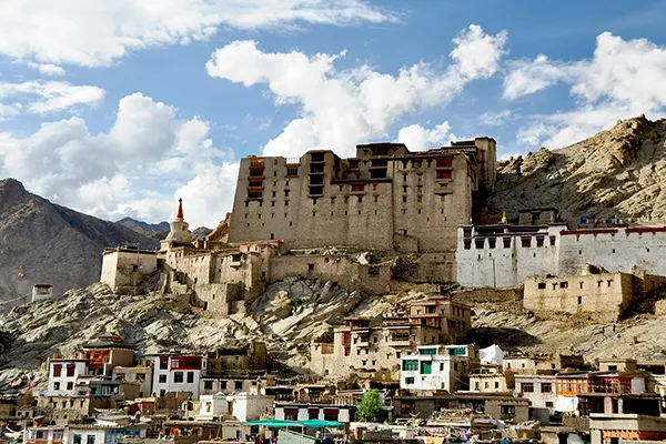 Ladakh Majestic